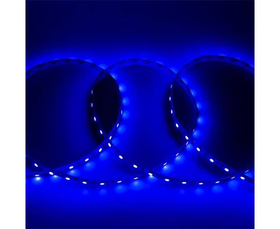 Светодиодная лента General GLS-5050-60-14.4-12-IP20-B 502610