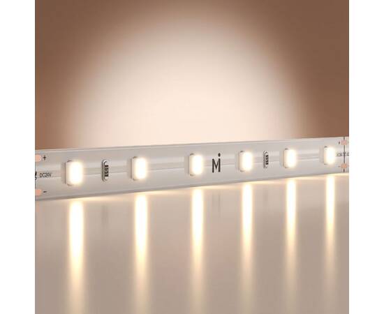 Светодиодная лента Maytoni Base 24В 2835 4,8Вт/м 4000K 5м IP20 201166, изображение 2