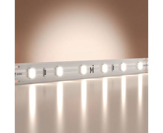 Светодиодная лента Maytoni Base 24В 2835 4,8Вт/м 6000K 5м IP20 201167, изображение 2