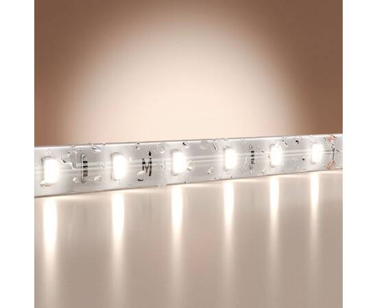 Светодиодная лента Maytoni Base 24В 2835 9,6Вт/м 6000K 5м IP65 201182, изображение 2