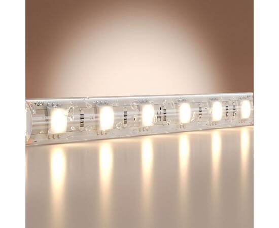 Светодиодная лента Maytoni Base 24В 5050 14,4Вт/м 4000K 5м IP65 201193, изображение 2