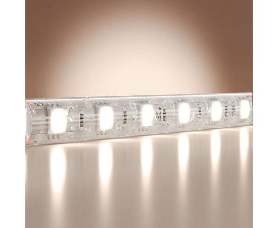 Светодиодная лента Maytoni Base 24В 5050 14,4Вт/м 6000K 5м IP65 201194, изображение 2