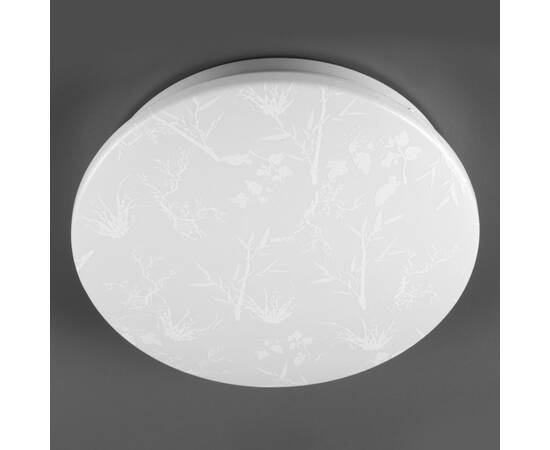 Потолочный светильник General Plant GSMCL-020-24 800261