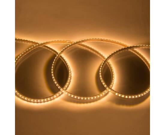 Светодиодная лента General GLS-2835-120-9.6-220-IP67-3 504415