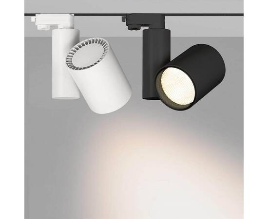 Трековый светодиодный светильник Arlight LGD-Shop-4TR-R100-40W Cool SP7500-Fish 026291, изображение 3