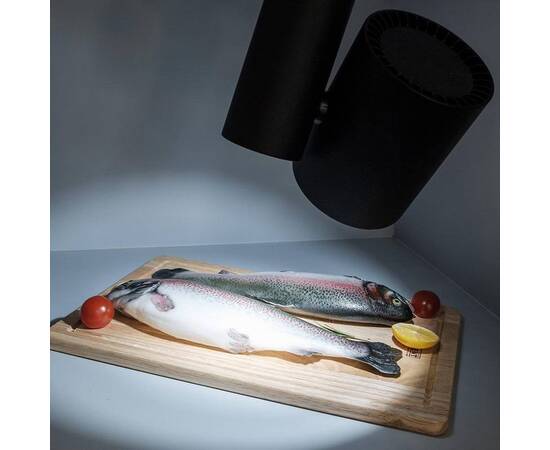 Трековый светодиодный светильник Arlight LGD-Shop-4TR-R100-40W Cool SP7500-Fish 026291, изображение 5