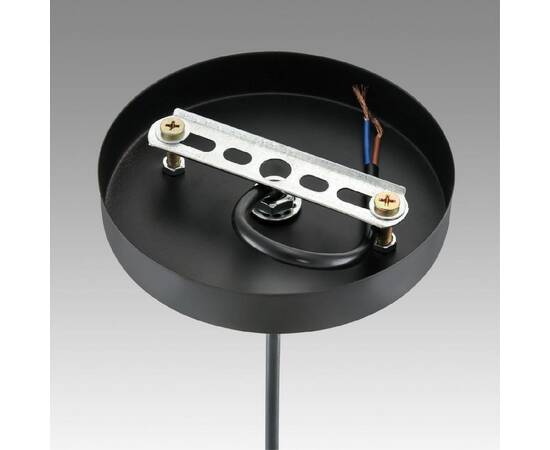 Подвесной светильник Lumion Suspentioni Leonela 8052/1A, изображение 7