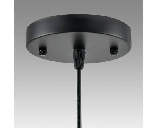 Подвесной светильник Lumion Suspentioni Leonela 8052/1A, изображение 9