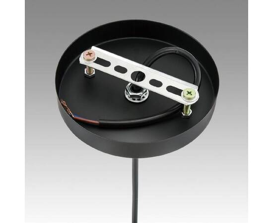 Подвесной светильник Lumion Suspentioni Elenika 8056/1A, изображение 7