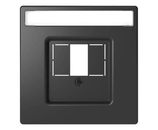 Накладка Schneider Electric Merten D-Life MTN4250-6034