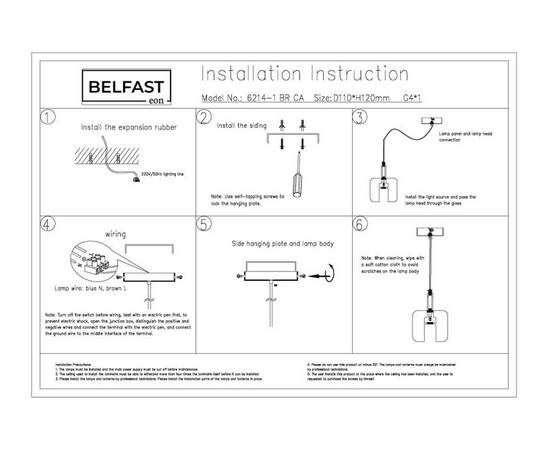 Подвесной светильник Belfast Pansy 6214-1 BR CA, изображение 5