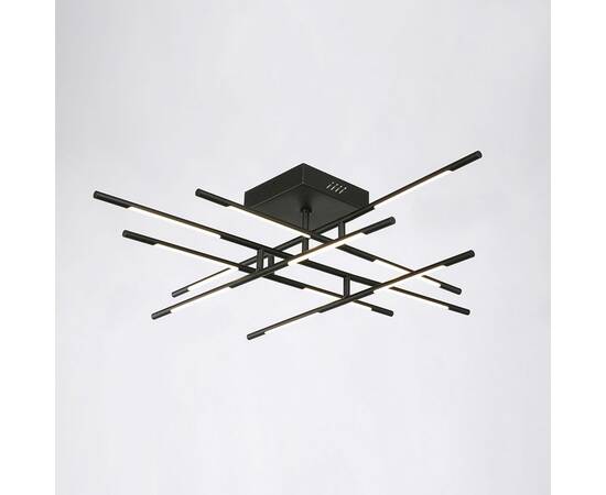 Потолочная люстра DeLight Collection Tubular MX18001070-12A black, изображение 2