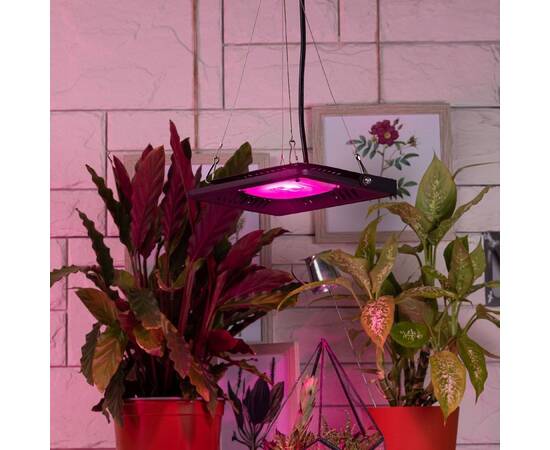 Тросовый подвес Эра FITO-Cabel-rope  Б0063889, изображение 5