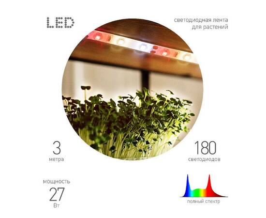 Светодиодная лента для растений Эра FITO-Strip Light-Rа90-27W-3m-12V-IP65 4000K Б0064597, изображение 2
