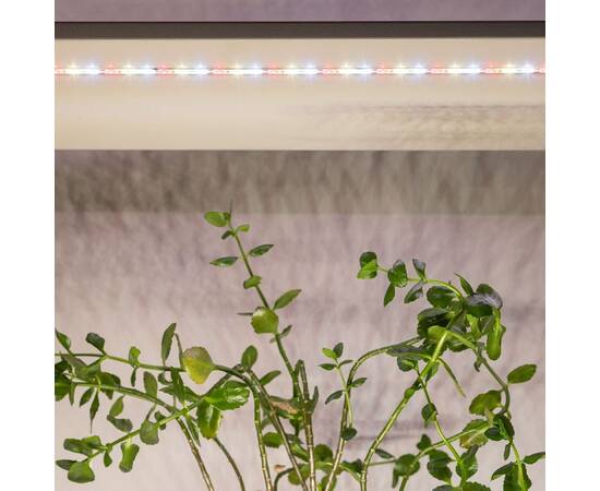 Светодиодная лента для растений Эра FITO-Strip Light-Rа90-27W-3m-12V-IP65 4000K Б0064597, изображение 9