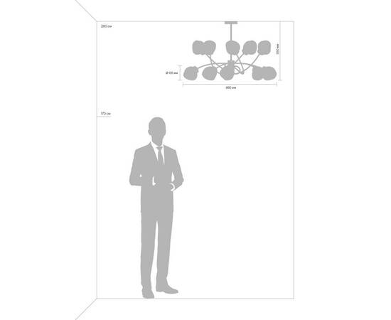 Люстра на штанге Freya Volani FR8017PL-10MG, изображение 12