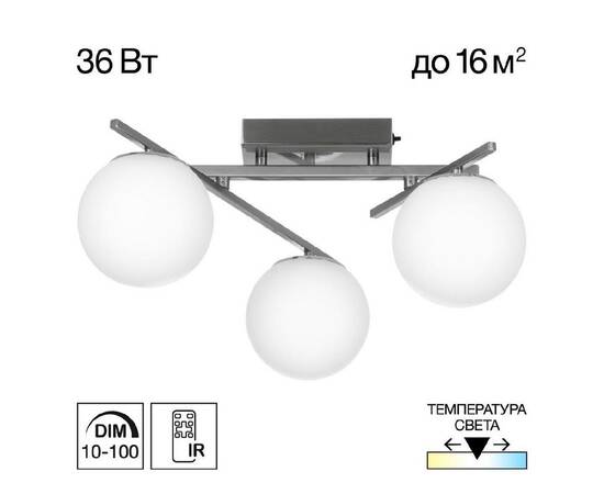 Потолочная люстра Citilux Dorsy CL223131