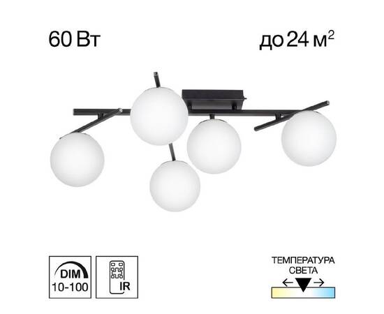 Потолочная люстра Citilux Dorsy CL223152