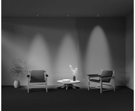 Накладной светильник Maytoni Lens C217CL-15W4K-W, изображение 7