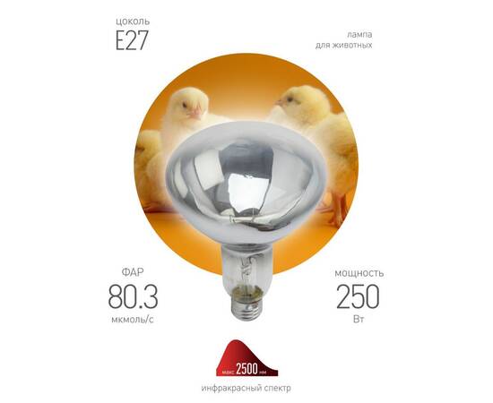 Инфракрасная лампа для обогрева животных Эра ИКЗ 220-250 R127 E27 Б0042991