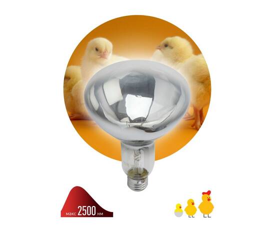 Инфракрасная лампа для обогрева животных Эра ИКЗ 220-250 R127 E27 Б0042991, изображение 5