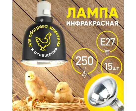 Инфракрасная лампа для обогрева животных Эра ИКЗ 220-250 R127 E27 Б0042991, изображение 7