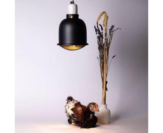 Инфракрасная лампа для обогрева животных Эра ИКЗ 220-250 R127 E27 Б0042991, изображение 10