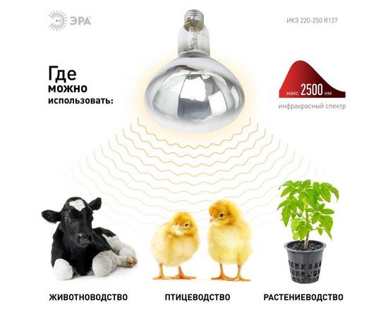 Инфракрасная лампа для обогрева животных Эра ИКЗ 220-250 R127 E27 Б0042991, изображение 11
