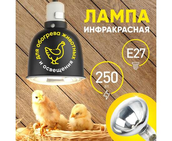 Инфракрасная лампа для обогрева животных и освещения Эра ИКЗ 220-250 R127 E27 Б0055440, изображение 5