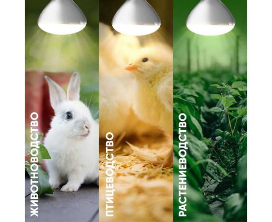 Инфракрасная лампа для обогрева животных и освещения Эра ИКЗ 220-250 R127 E27 Б0055440, изображение 6