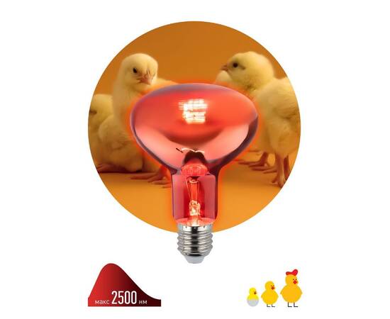 Инфракрасная лампа для обогрева животных и освещения Эра ИКЗК 230-100 R95 E27 Б0062411, изображение 5
