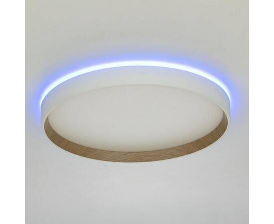 Накладной светильник Citilux Etalon CL750320R, изображение 5