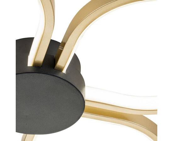 Потолочный светильник Escada Clover 10243/4LED, изображение 5