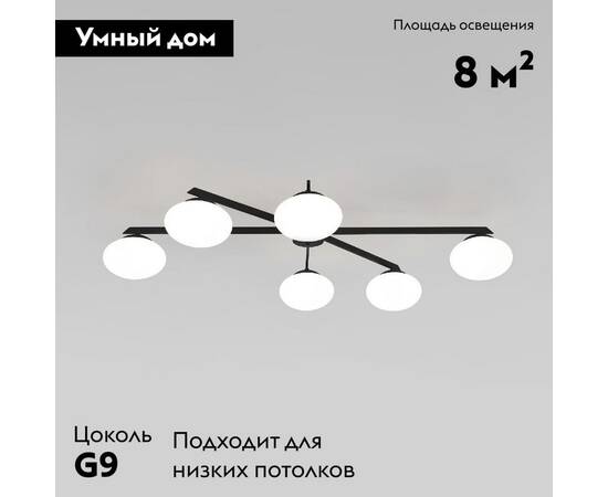 Потолочная люстра Eurosvet Opaline 70220/6 черный a065765, изображение 2