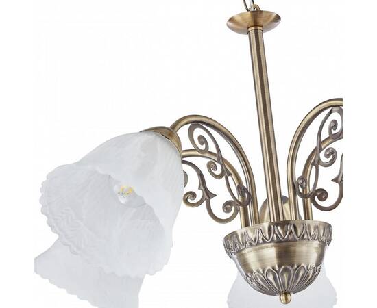 Подвесная люстра Arte Milano Amalfi 338544/5 AB, изображение 5