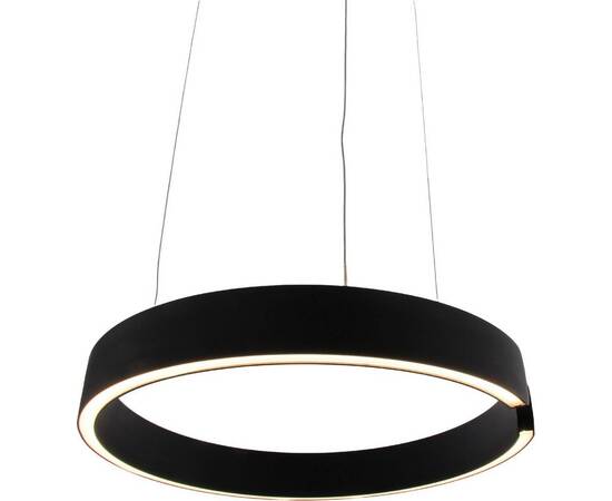 Подвесной светильник Mizi'en Leo MZ31371-400B, изображение 2