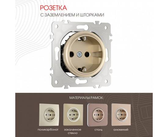 Розетка с заземлением и шторками Arte Milano 202.40-1.shampan