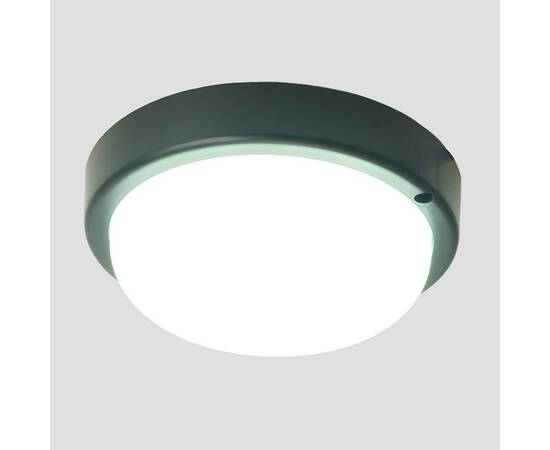 Настенно-потолочный светильник Feron AL3005 51471, изображение 2