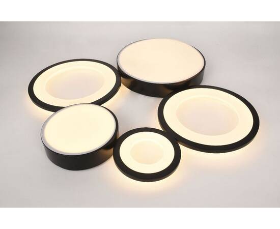 Потолочная люстра Rivoli Aliona 6161-201 Б0066468, изображение 2