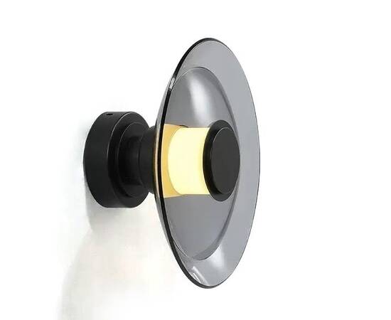 Настенно-потолочный светильник Delight Collection 8665W/L black/smoky