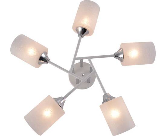 Потолочная люстра Rivoli Federica 9178-305 Б0068392, изображение 3