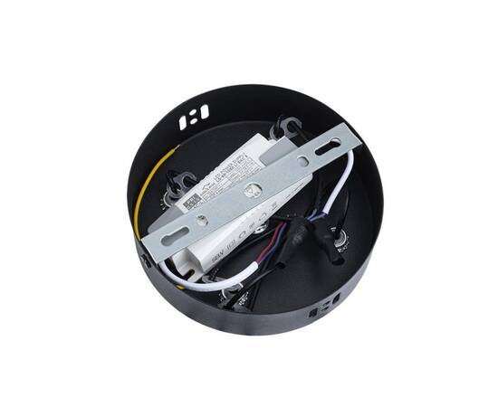 Подвесная люстра Lumion Ledio Ovela 8342/35L, изображение 5