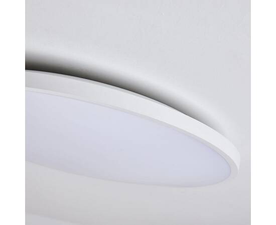 Настенно-потолочный светильник Lightstar Arco Eco 225750, изображение 2