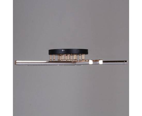 Потолочная люстра Reluce 17090-0.3-10 BK+FG, изображение 5