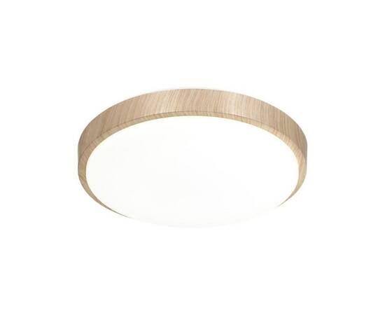 Настенно-потолочный светильник Sonex Pale Losta 7607/CLN, изображение 4