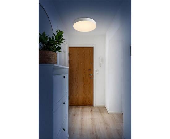 Настенно-потолочный светильник Sonex Basica Optima 7779/ELN, изображение 3