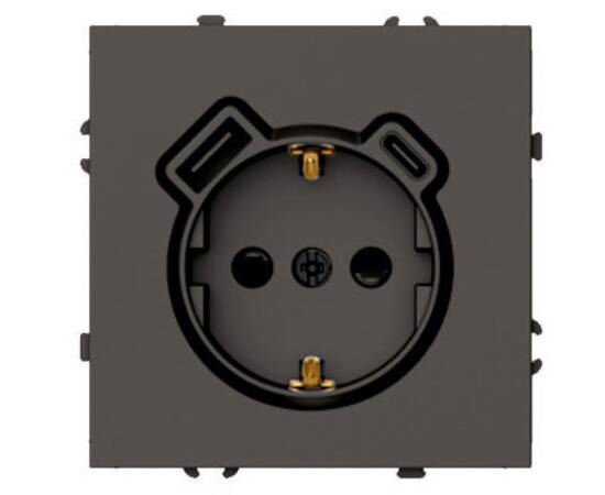 Розетка 1-местная з/ш с/з 16А + USB + Type C (механизм) Stekker Эмили RST16-5119-09 антрацит soft to