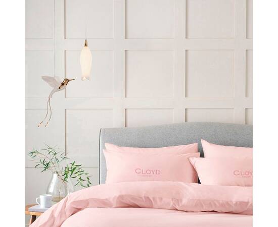 Подвесной светильник Cloyd Argana 11242, изображение 2