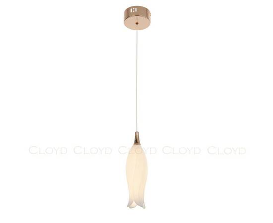 Подвесной светильник Cloyd Argana 11242, изображение 6