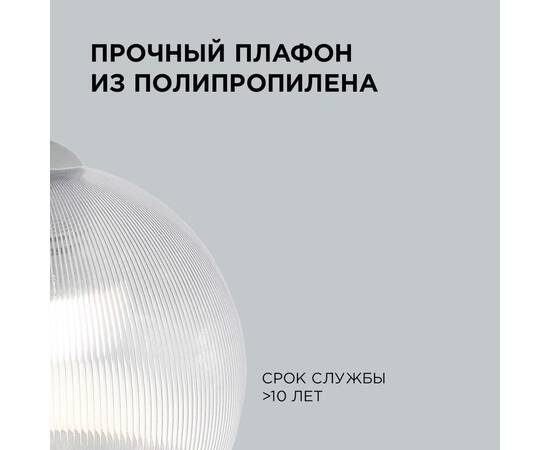 Подвесная люстра Apeyron 16-56, изображение 5